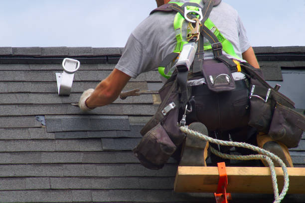 Best Metal Roofing Installation  in Murphysboro, IL