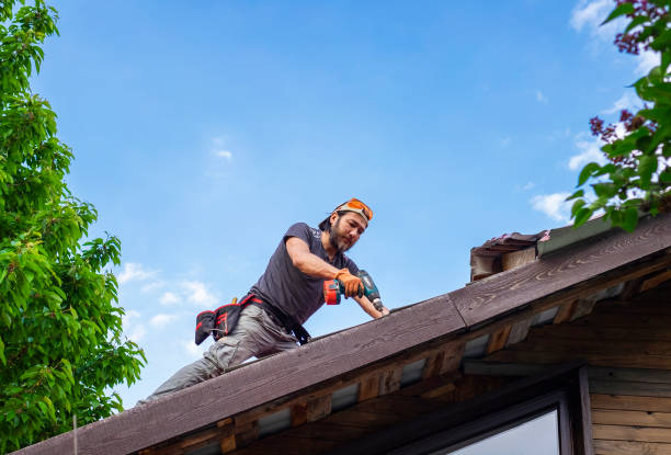 Best Roof Coating and Sealing  in Murphysboro, IL